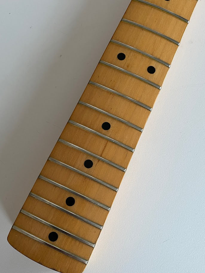 Greco SE800 '76 / Stratocaster Type
