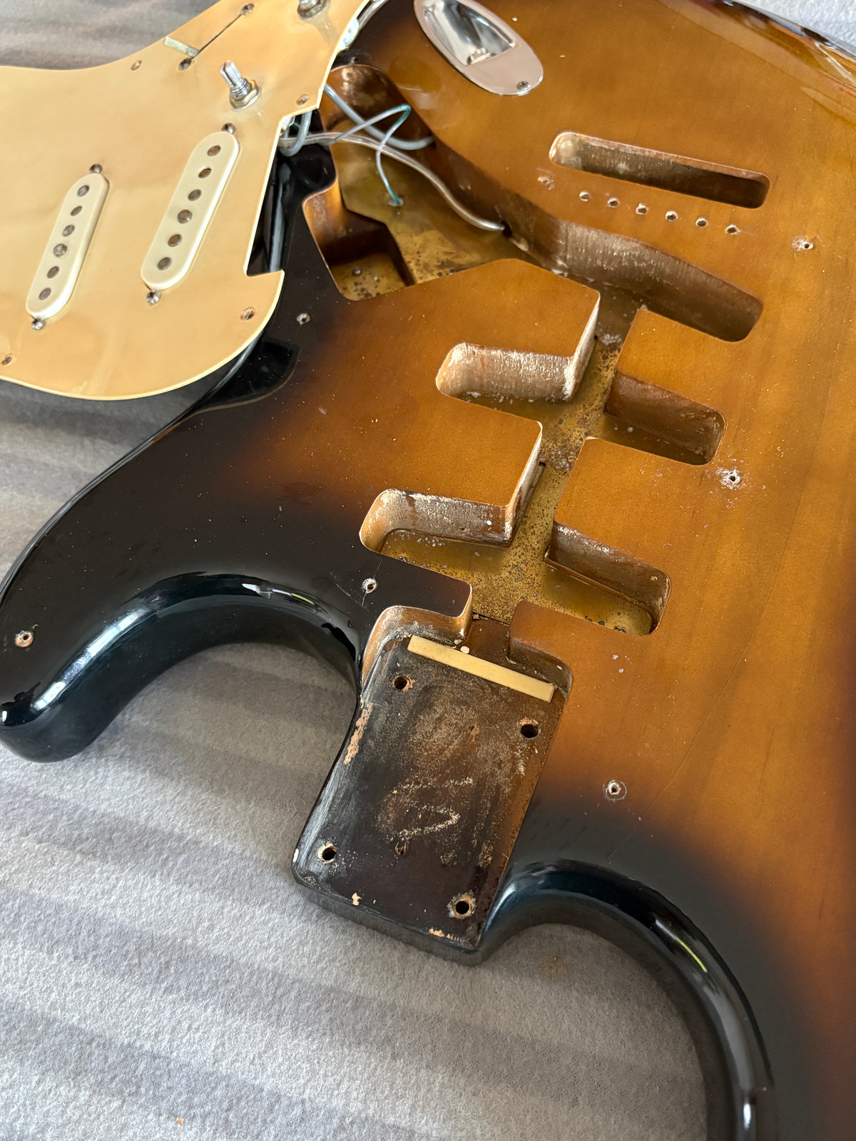 Greco SE800 '76 / Stratocaster Type