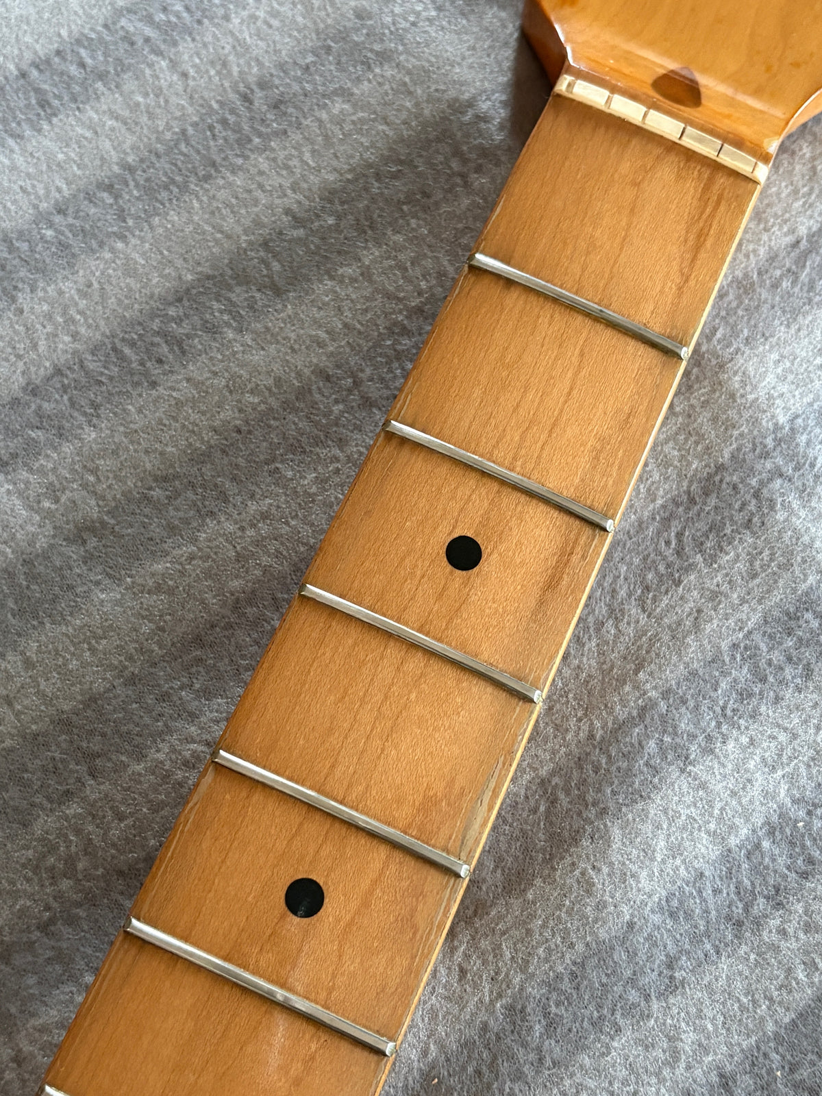 Greco SE800 '76 / Stratocaster Type