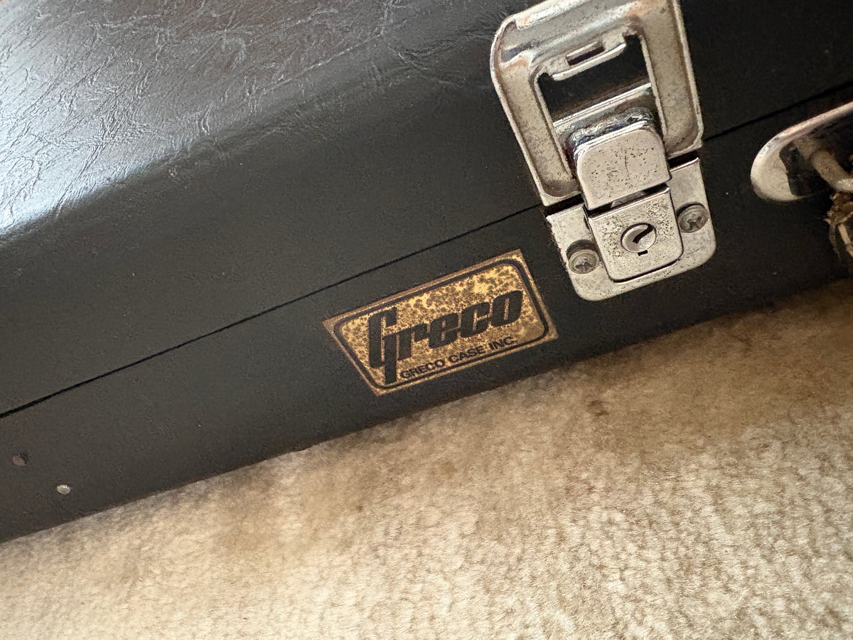 Greco SE800 '76 / Stratocaster Type