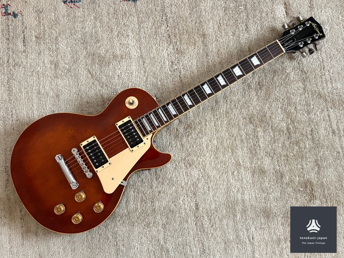 Aria Pro II LS-500VS '70s / Les Paul Standard Type