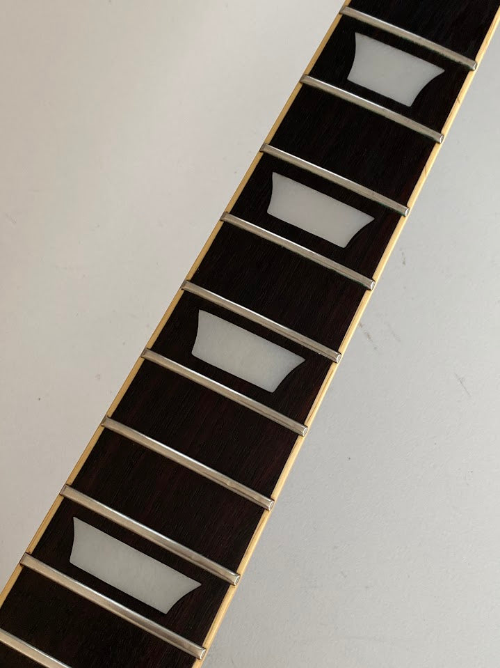 Aria Pro II LS-450 '70s / Les Paul Standard Type