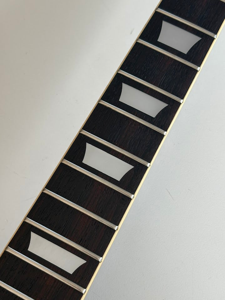 Greco EG450 '77 / Les Paul Standard Type