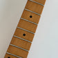 Suzuki Hudson Super Swinger Acrylic '70s / Stratocaster Type