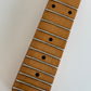 Suzuki Hudson Super Swinger Acrylic '70s / Stratocaster Type